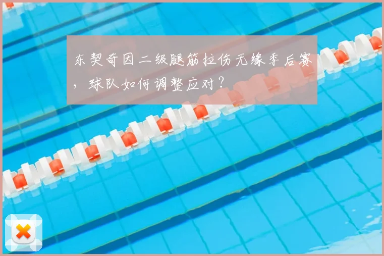 东契奇因二级腿筋拉伤无缘季后赛，球队如何调整应对？